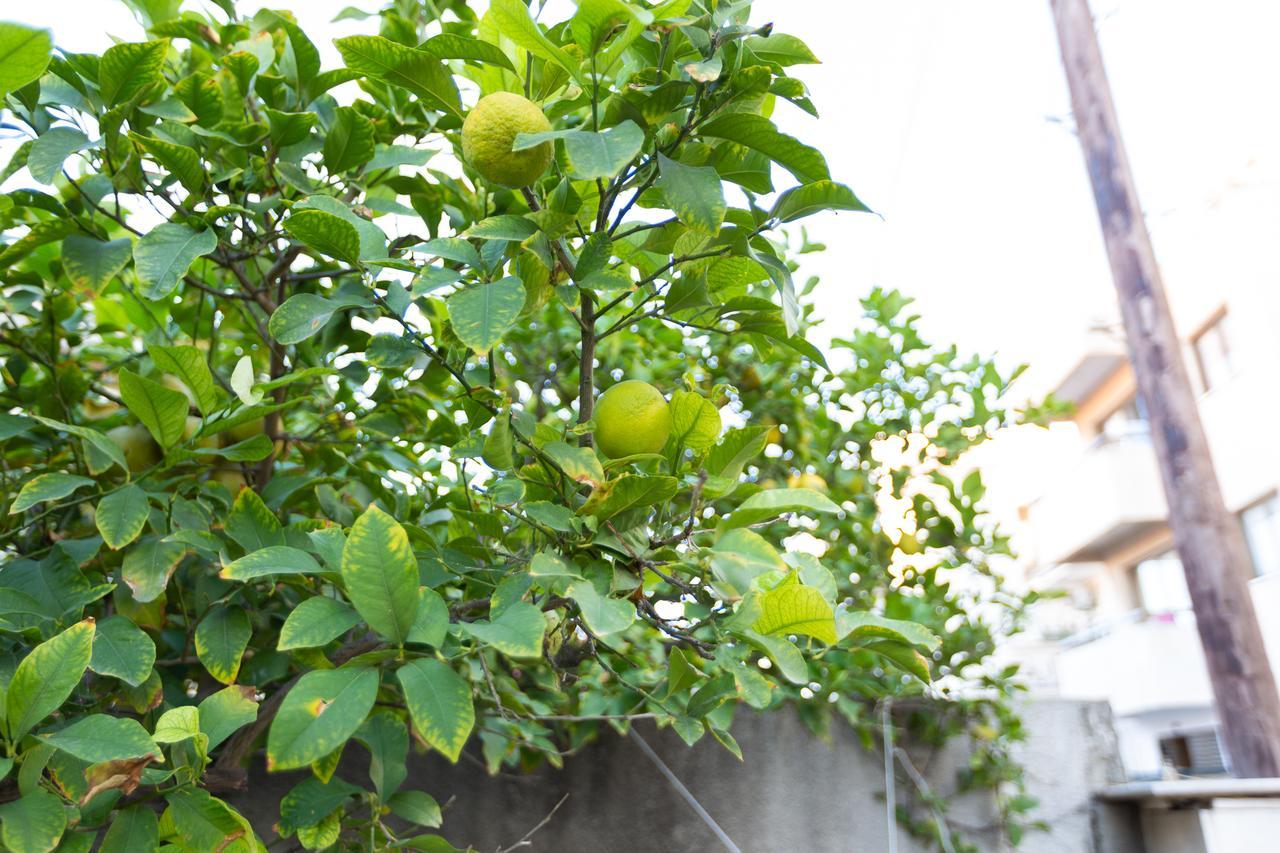 Laila'S Cozy Garden House & Studio