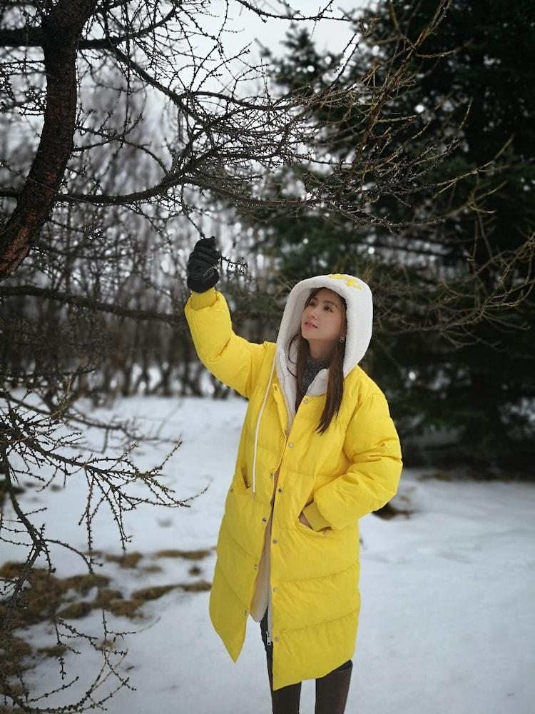Iceland Igloo Village 1