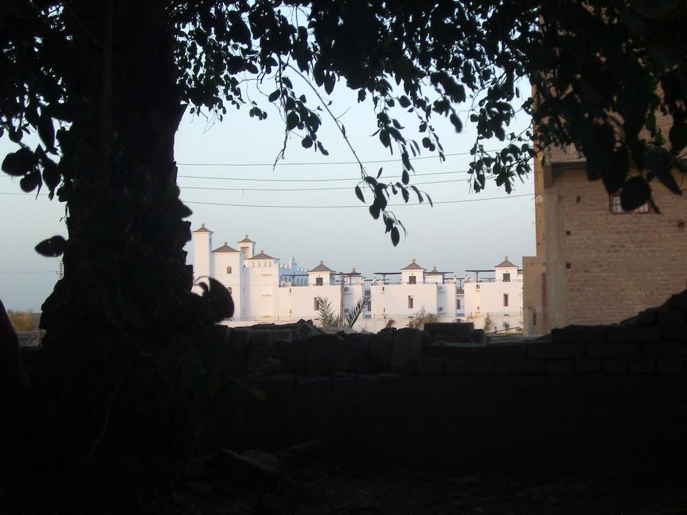 House of Life Abydos