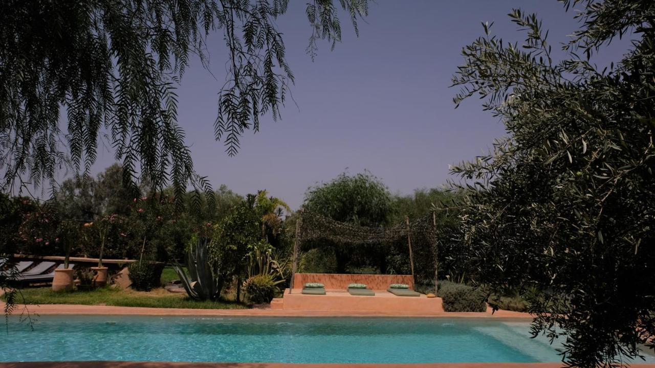 Les Asnouss (Adults only) 2