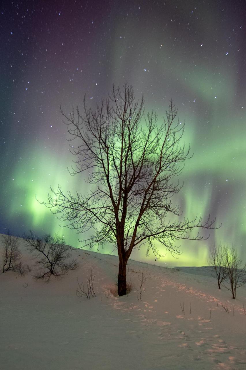 Dalshofdi Guesthouse 2