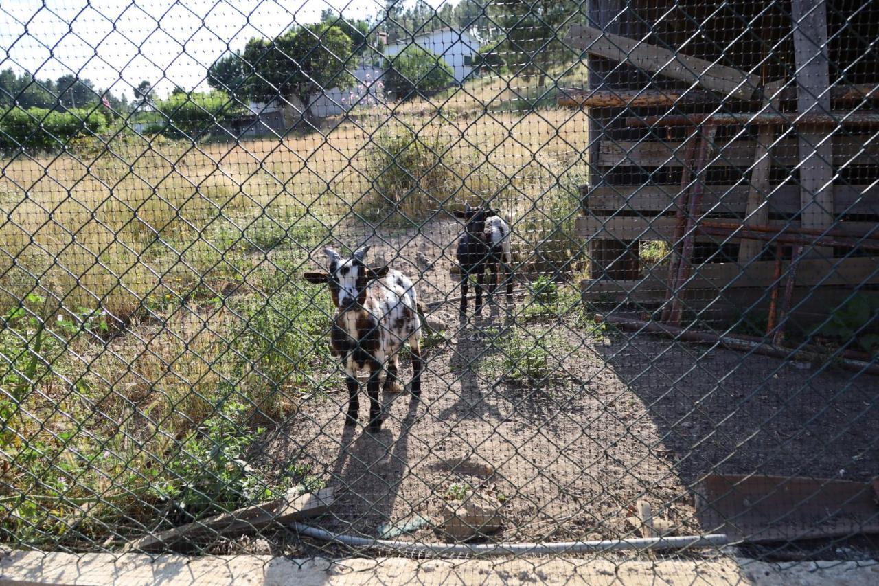 Apartamentos Rurais - Casas Do Lagar 2