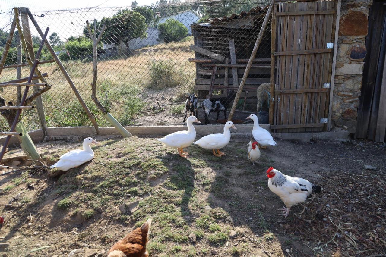 Apartamentos Rurais - Casas Do Lagar 1