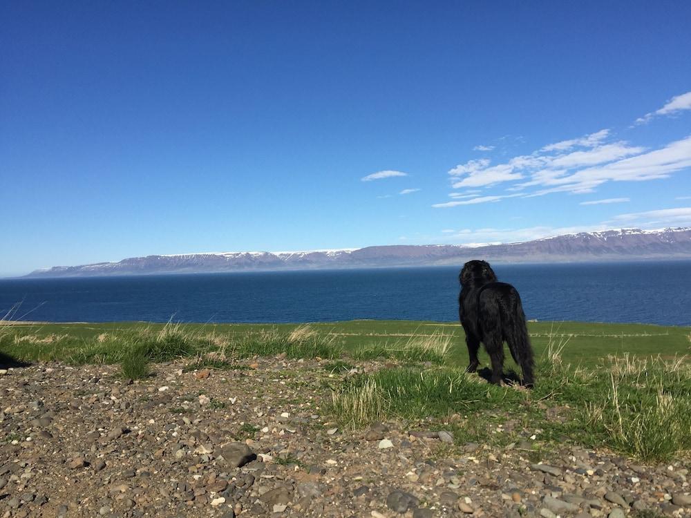 Steinn Farm Private Apartment