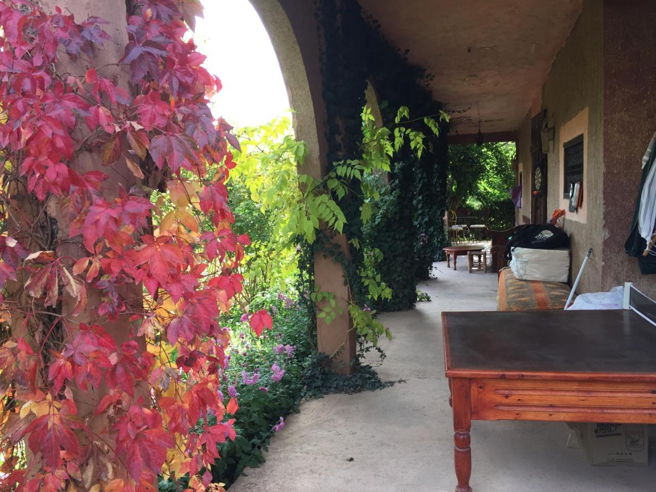 Safraniere du M' Goun 2