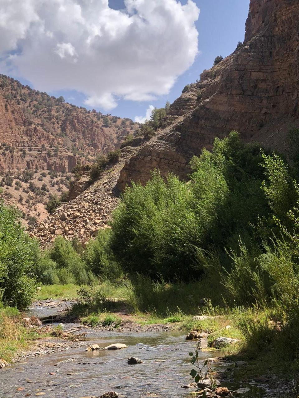 Gite Ifoulou Tassaout 1