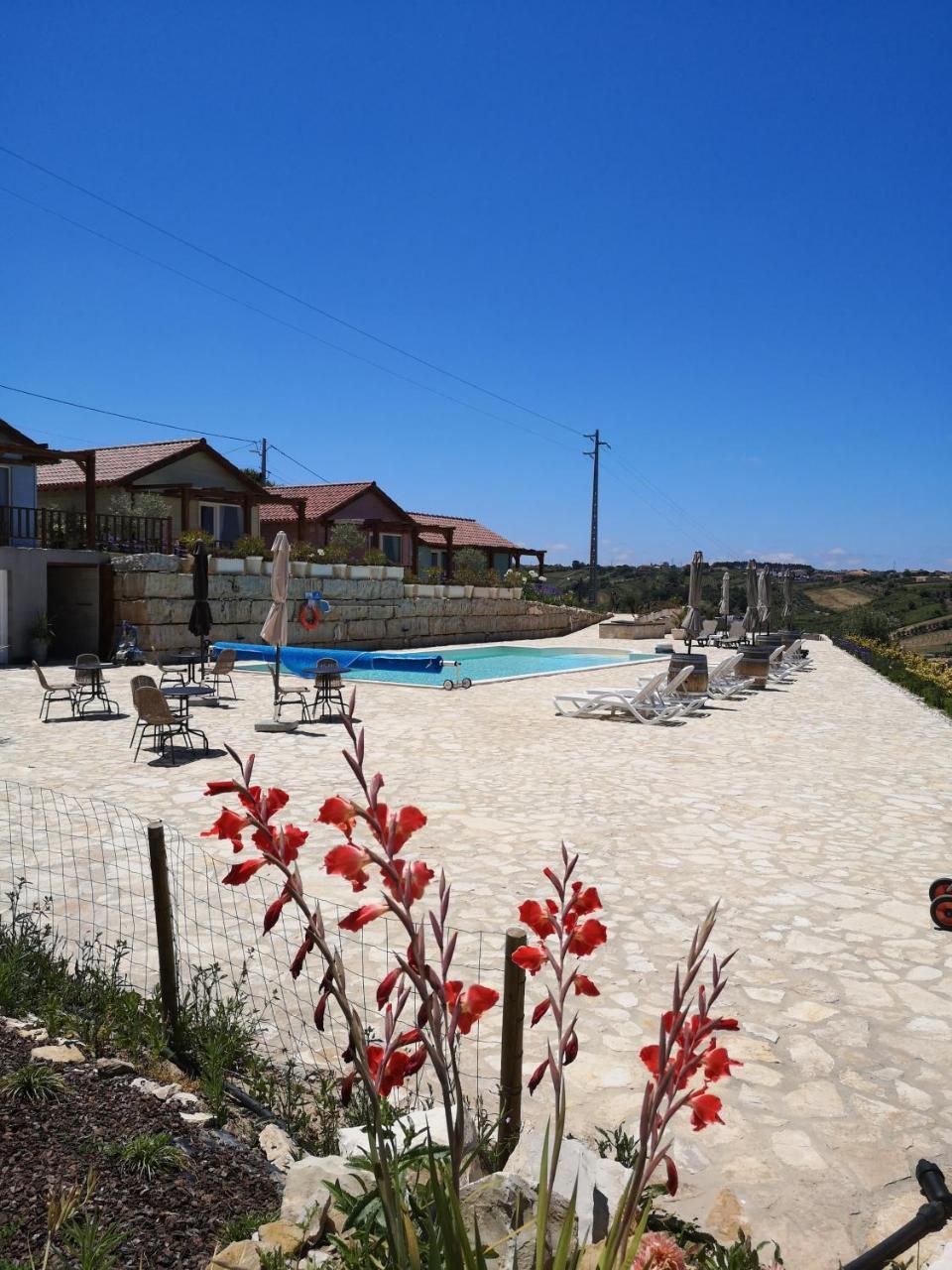 The Olive Hill Guesthouse 2