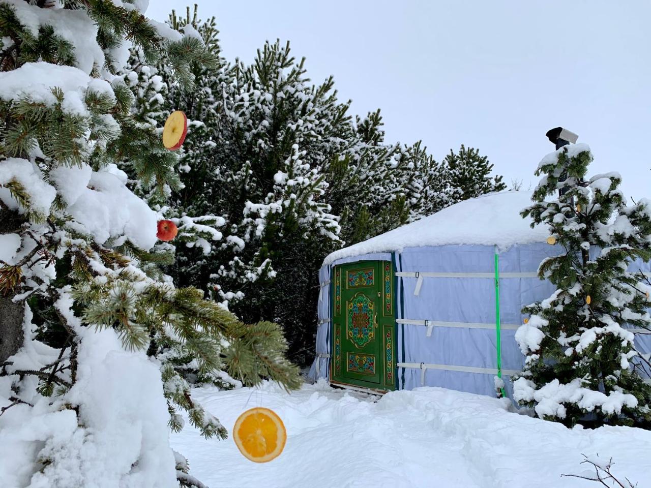 Valhalla Yurts Odin 1