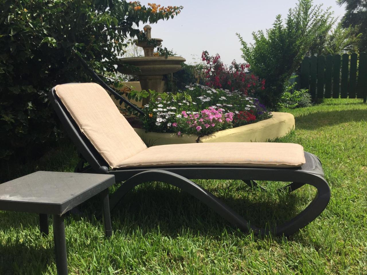 Casitas las Uvas Y las Vinas