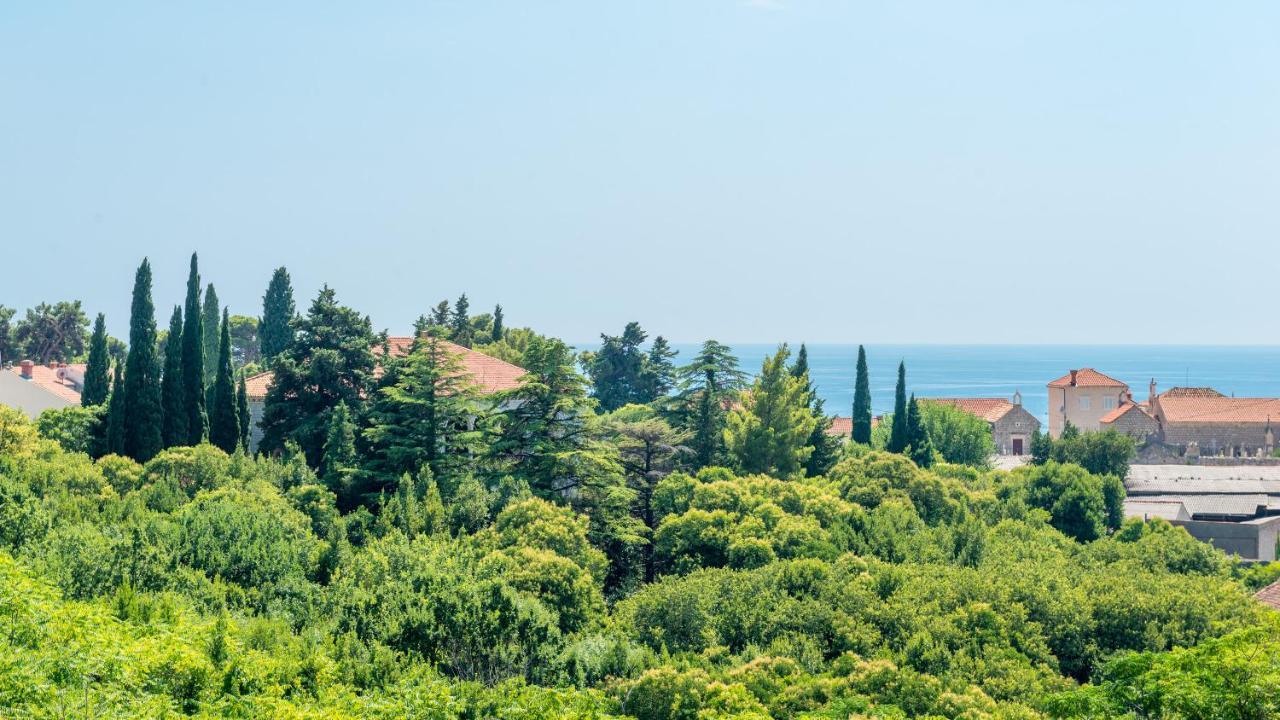 Comfort Apartment Ani 2