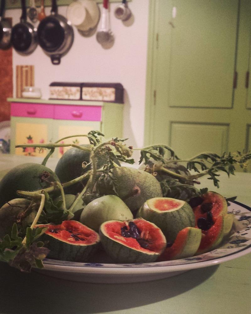 Flower And Crafts - Eco Farm Houses 1