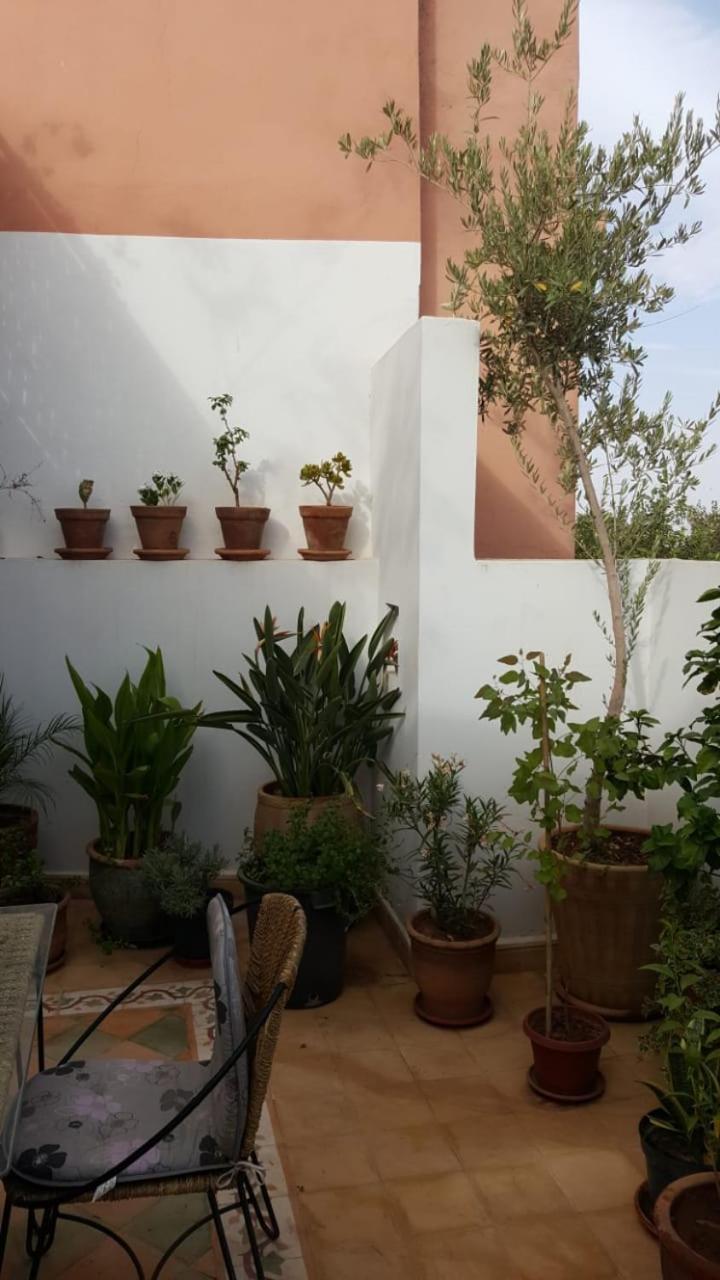Riad Medina 1