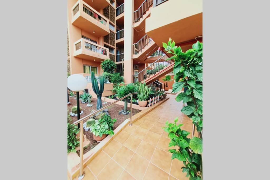 Holiday Loft Puerto de la Cruz 2