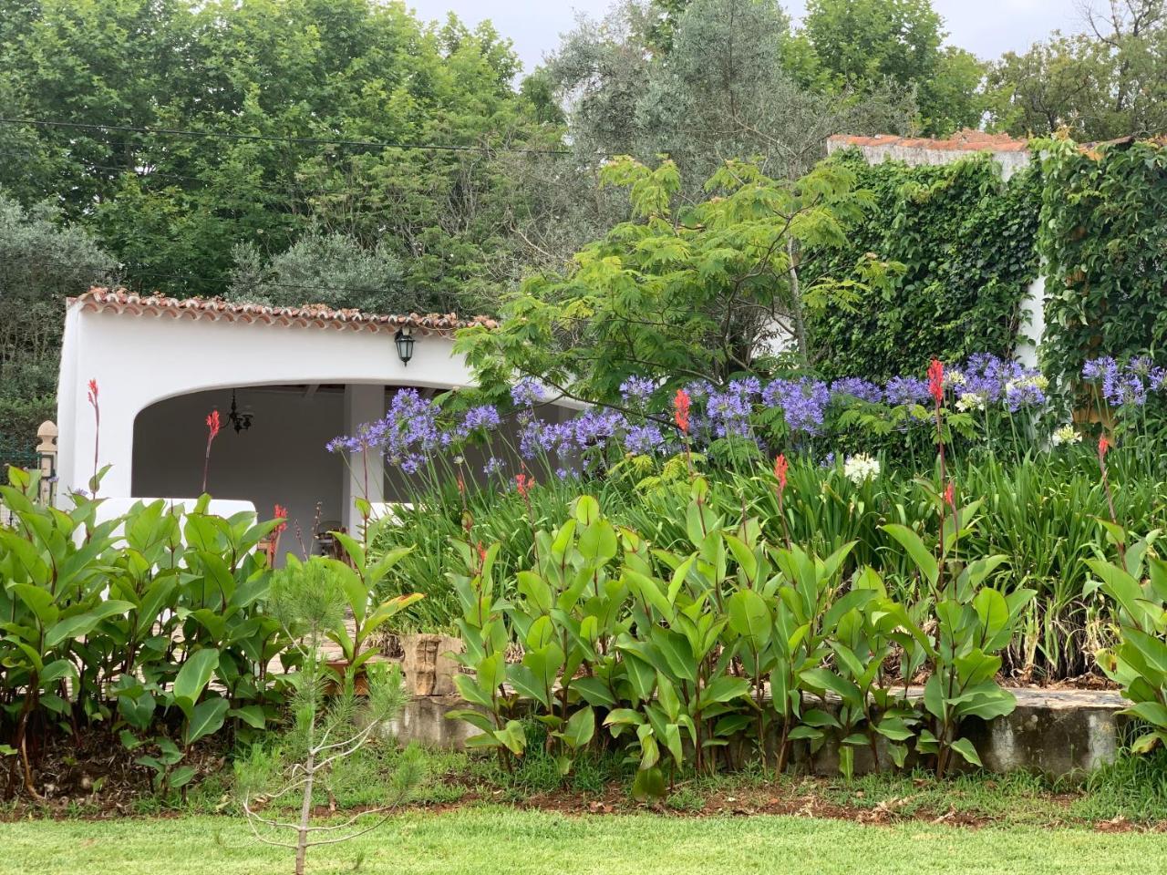 Quinta Dos Girassois Fz 1