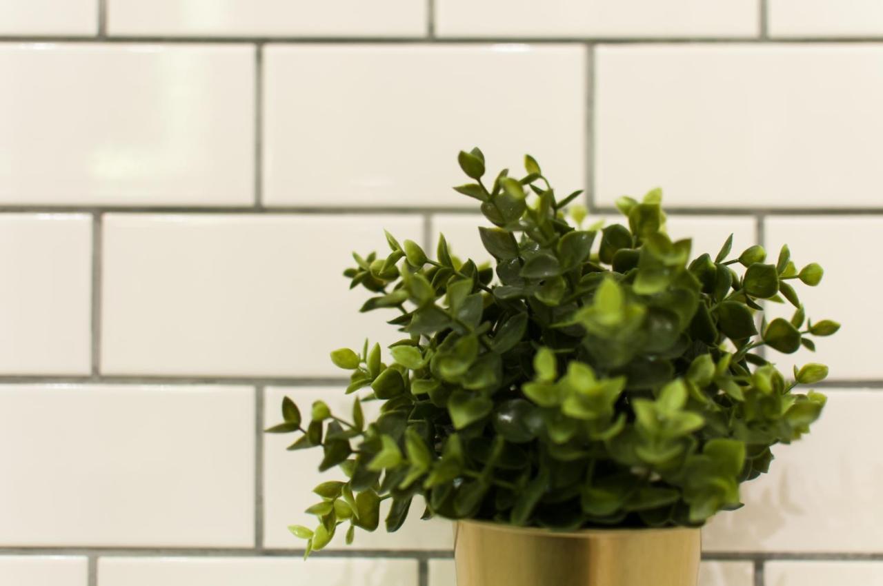 Casa Pilar Central by Myrentalhost