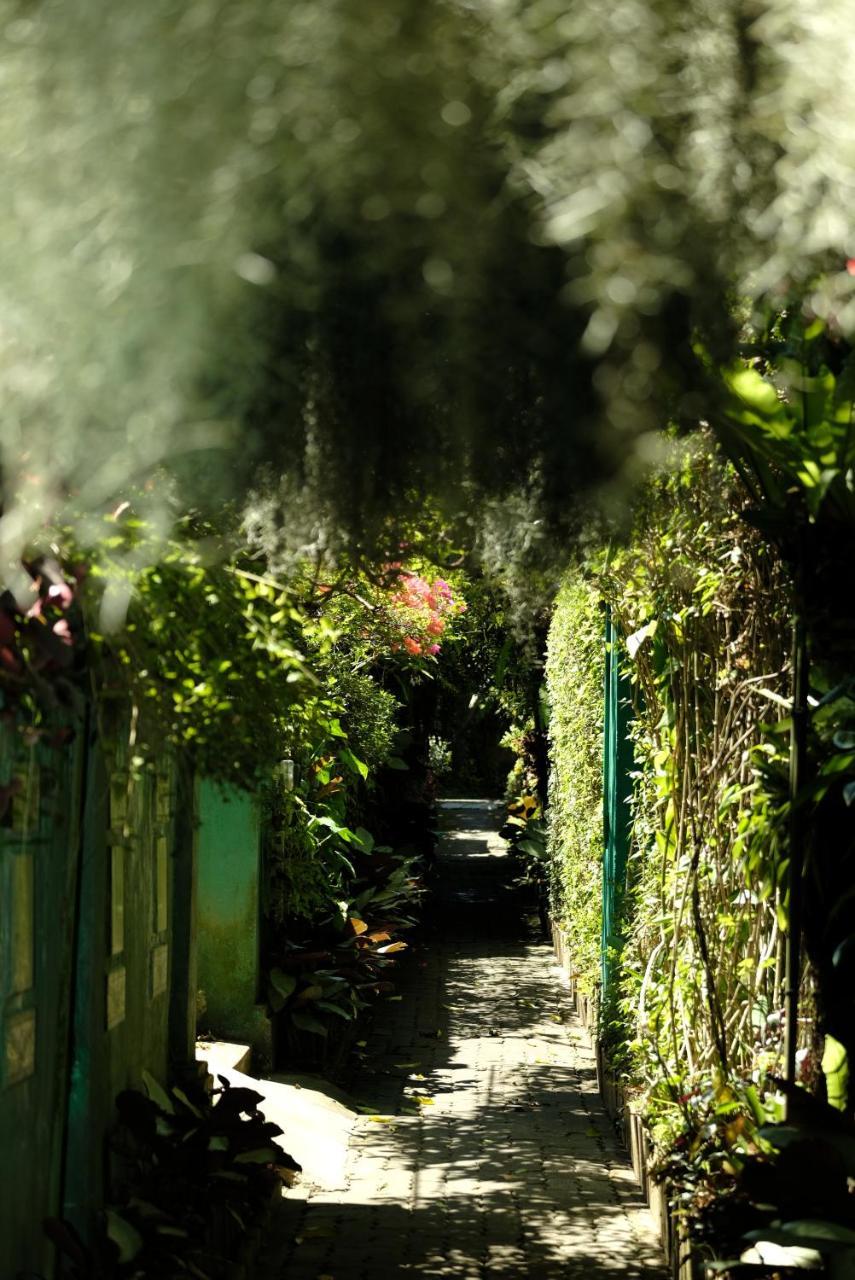 Hidden Garden in Ubud City Center W/ 2 Separate Br 1