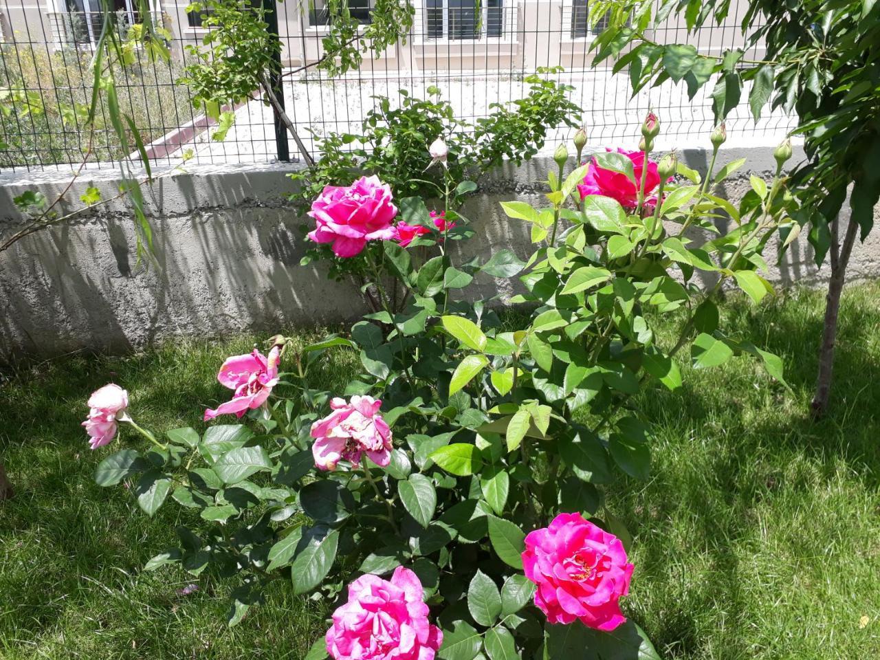 Dr Aslan Apart Hotel 2