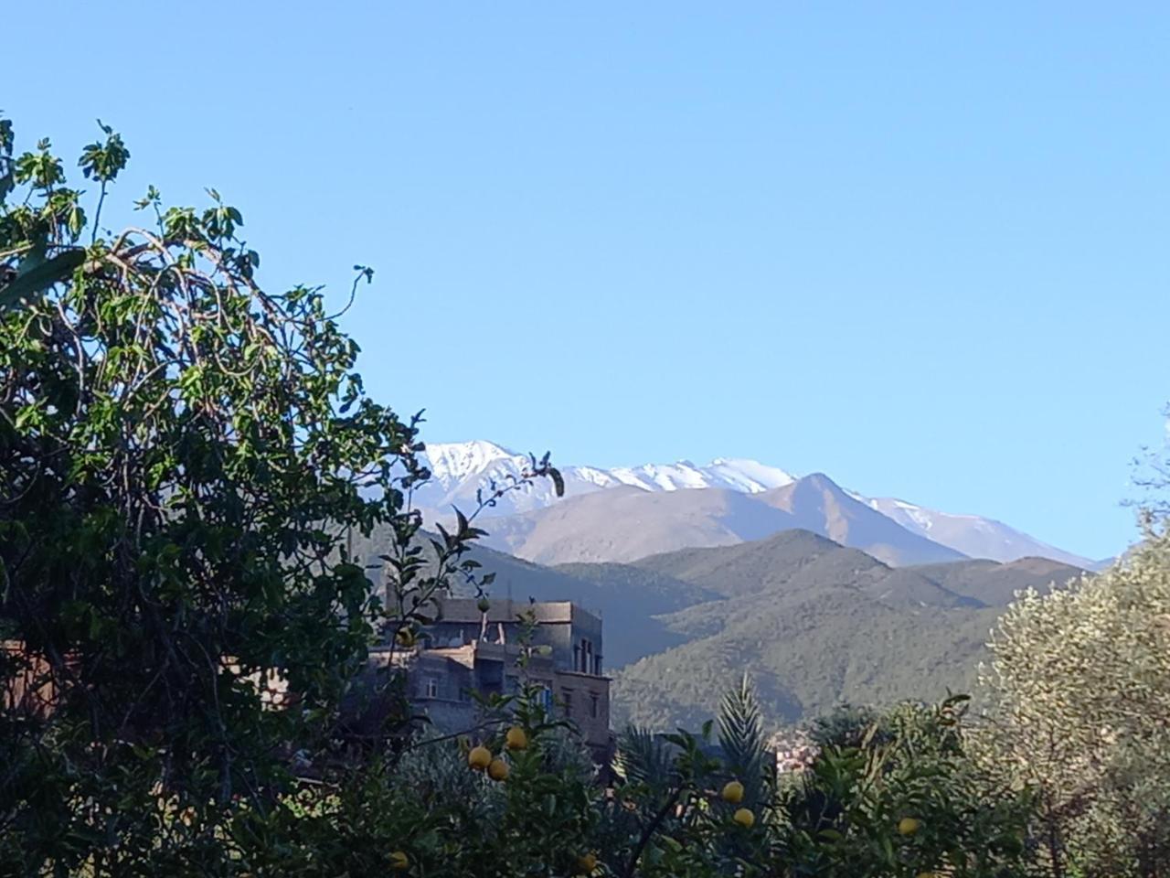 Ourika Timalizene Le Jardin Des Delices 2