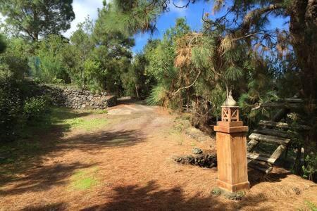Villa Rural Faldas Del Teide 2