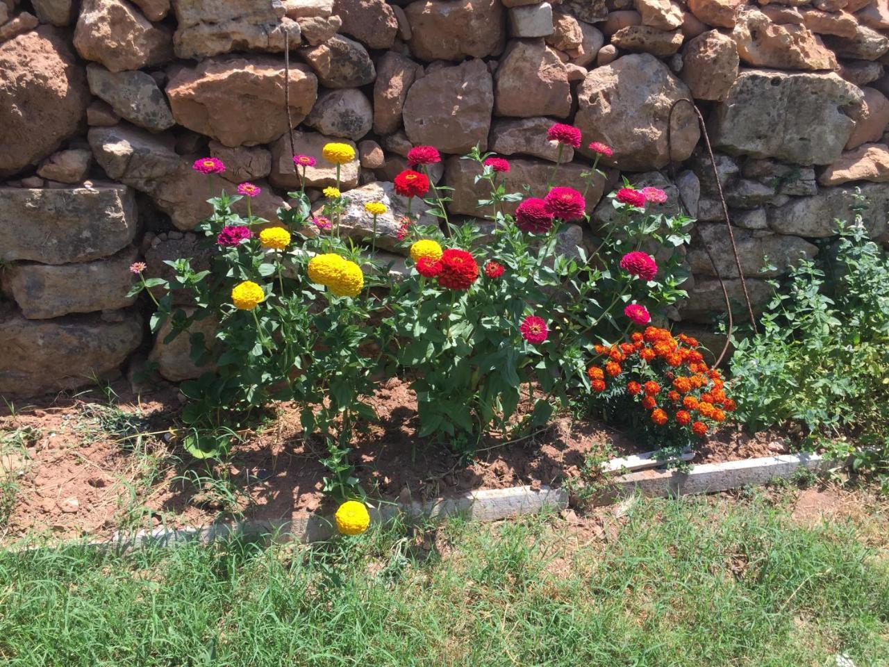 Casa de Newsham (Adults Only) 1