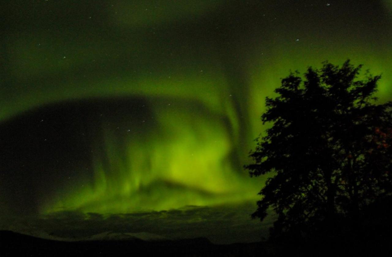 Guesthouse Hof in Vatnsdalur 1