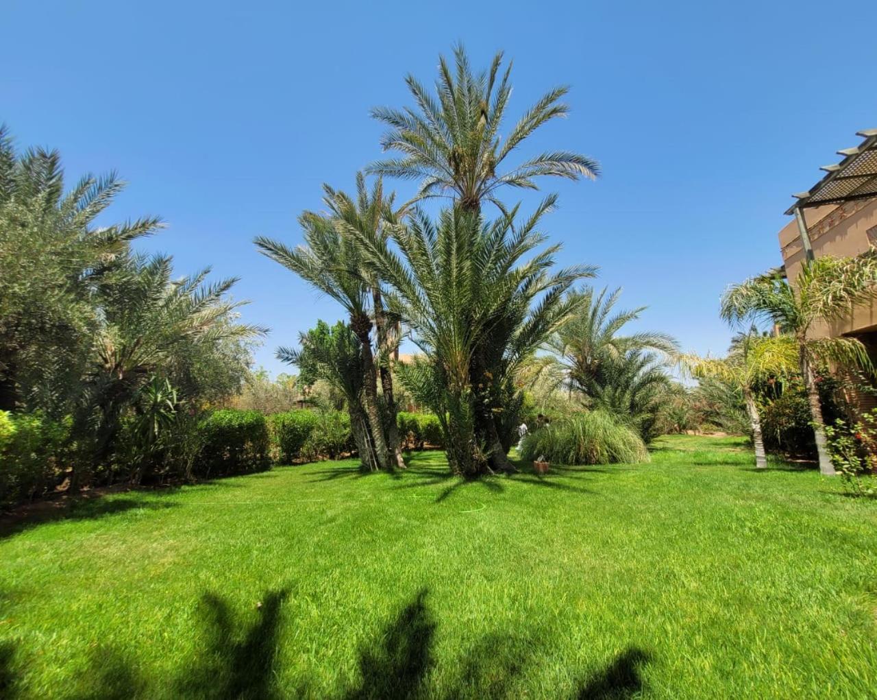 Palmeraie 5 Vue Piscine Et Jardin 1