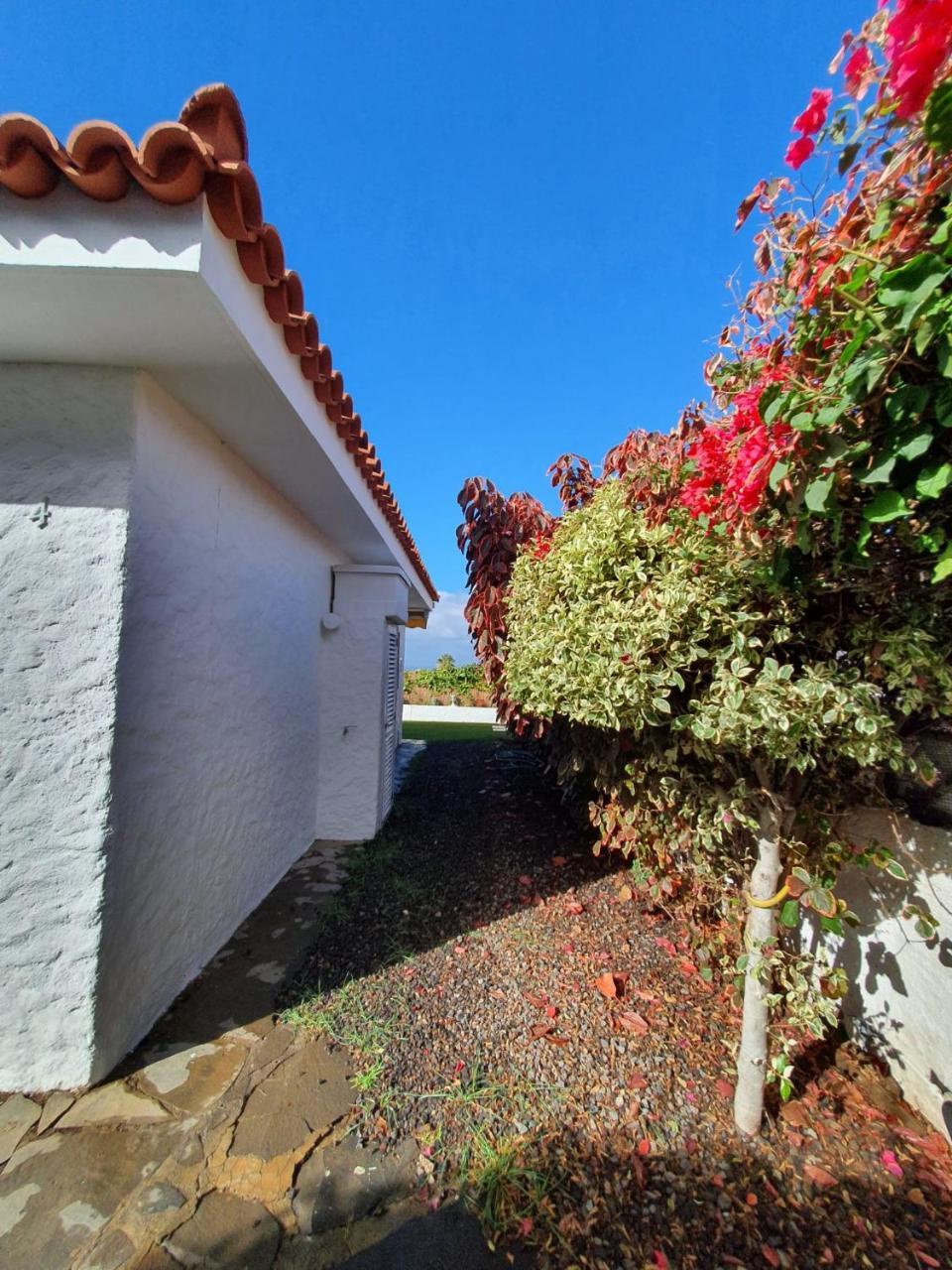 Cozy And Intimate Bungalow in Puerto de la Cruz 2