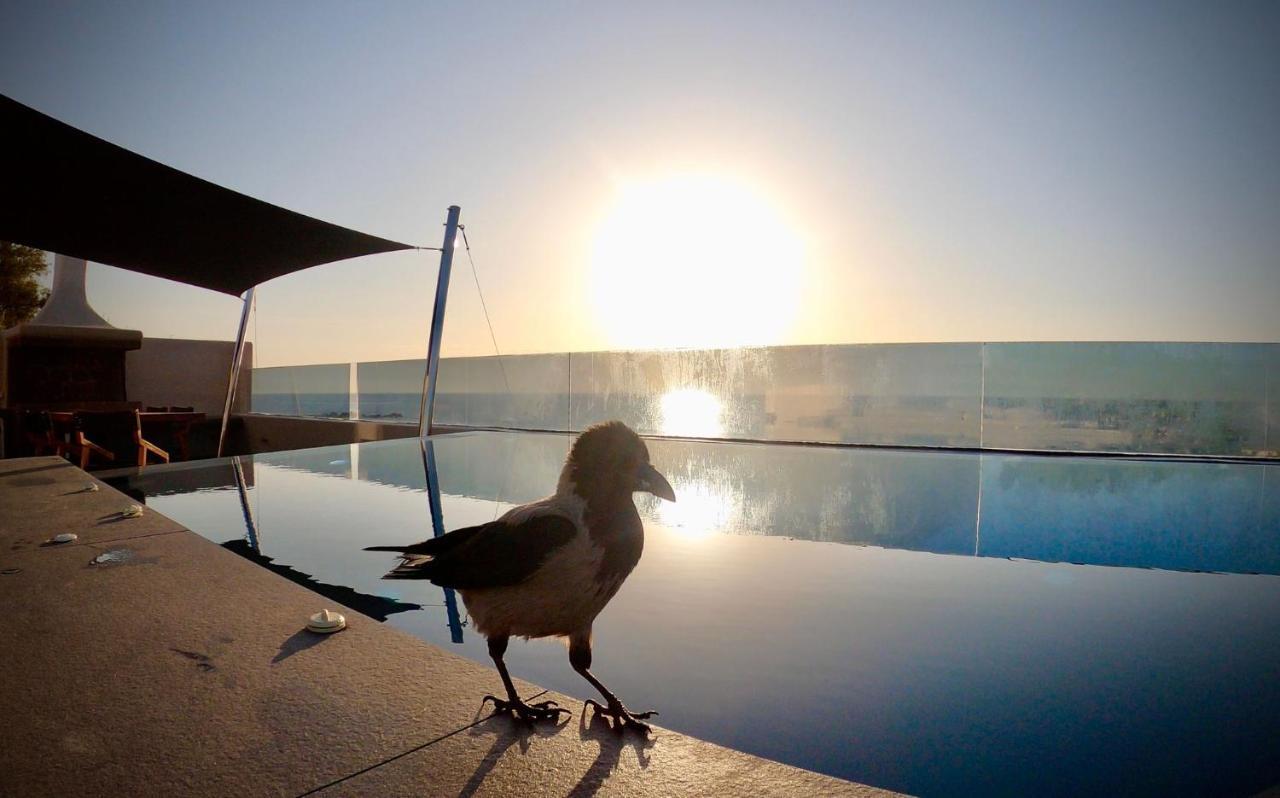 Incognito Villa (Adults only)