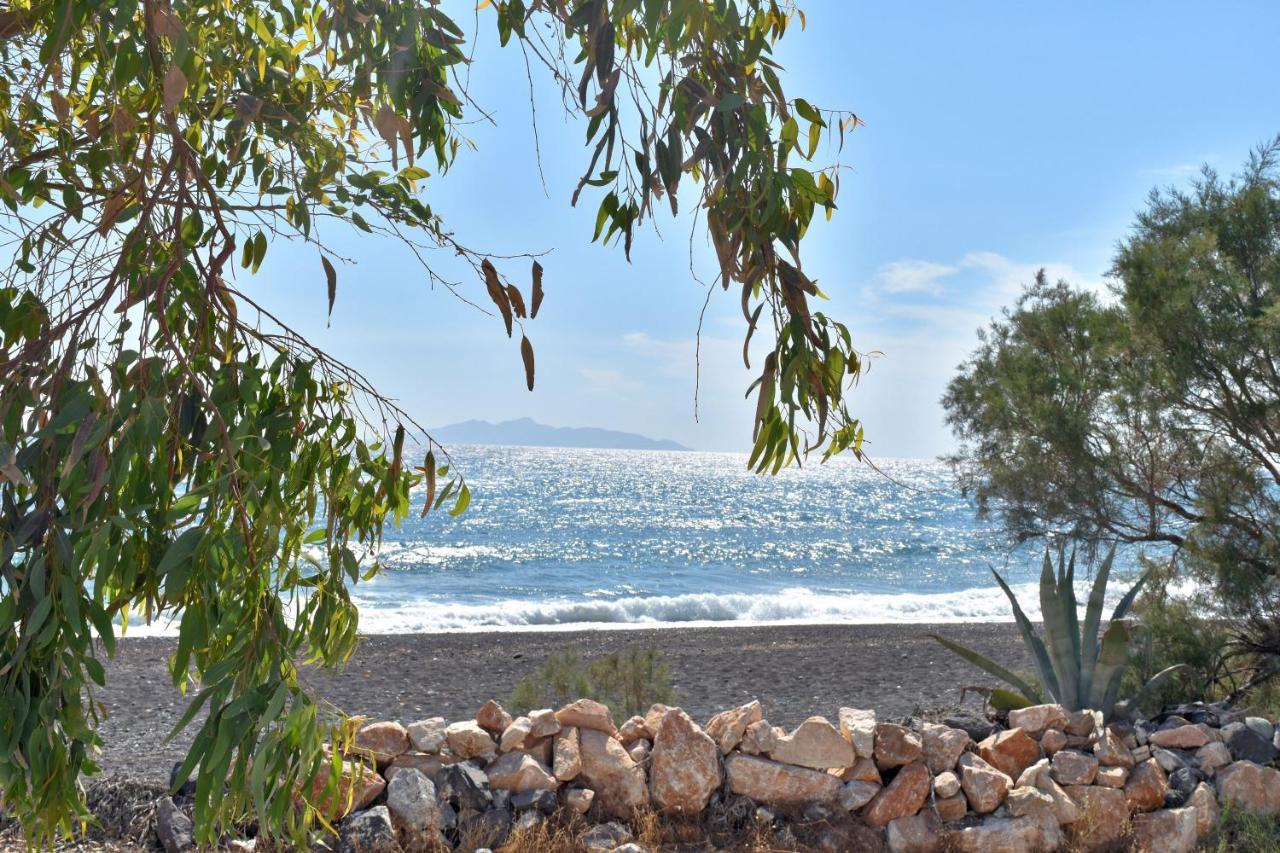 Damma Beachfront Luxury Villa 2