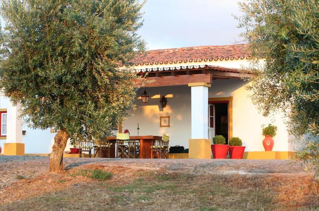 Monte Da Tarouca No Alto Alentejo 1