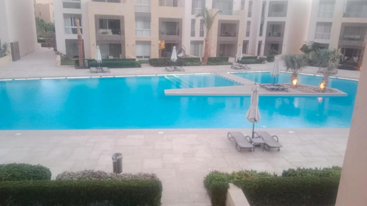 مانجروفي الجونة 1