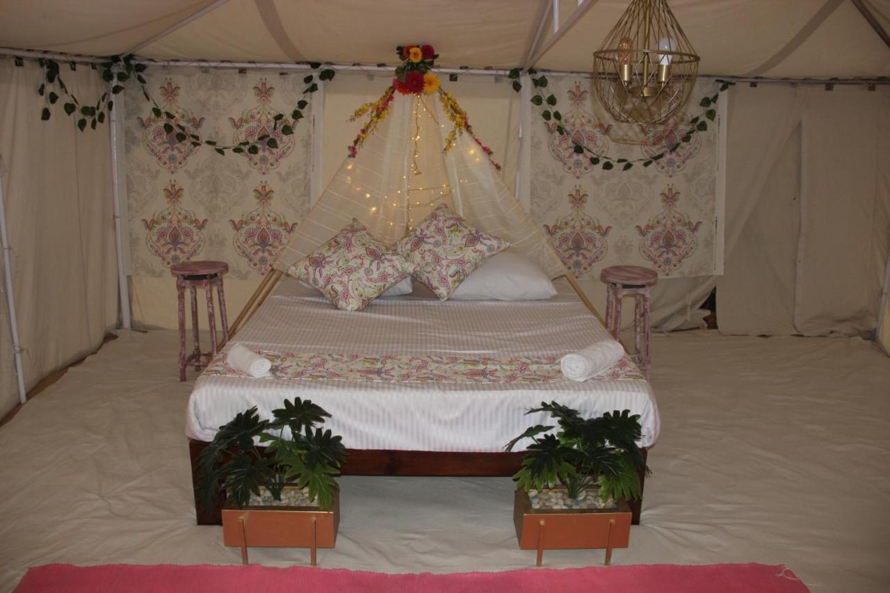 Shahrazad Camp in White Desert, Egypt