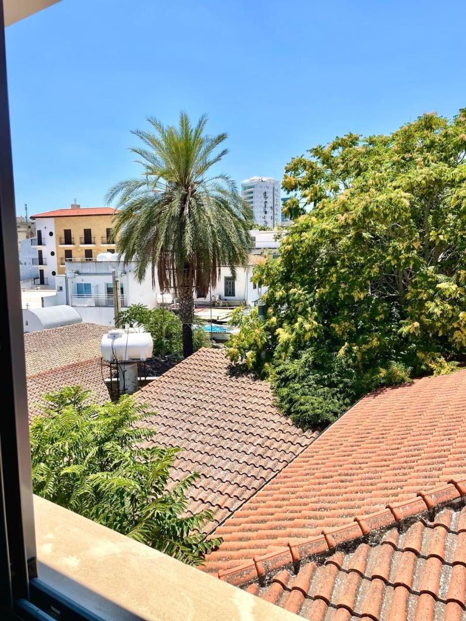 Nemesis Second Floor Studio in Downtown Nicosia by Platform 357 2