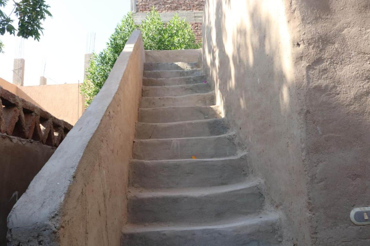 Desert Rose Guesthouse 1