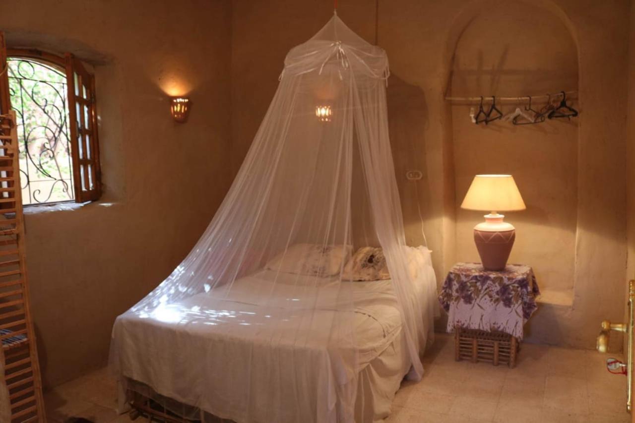 Desert Rose Guesthouse 2