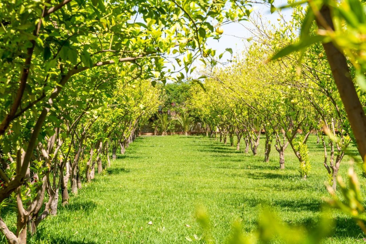 The Lemonary Marrakech 1