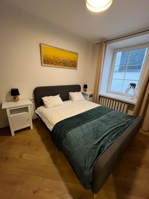 Cozy Apartment in Old Town