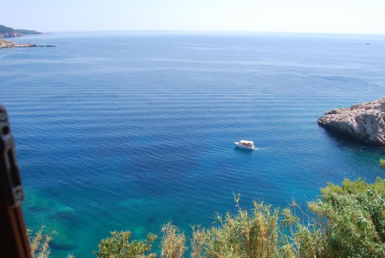 Apartment Bellaria 1