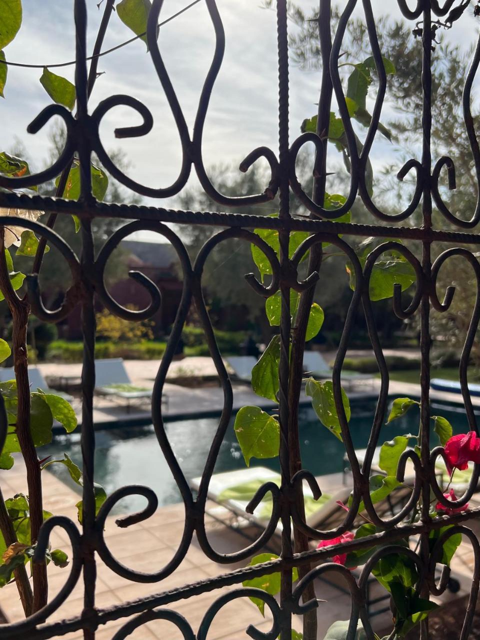 Les Jardins de Marrakech 1