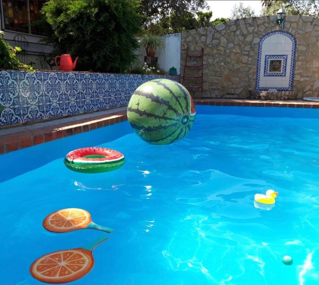 Lovely Quinta in Nature with Pool - Tomar (Adults Only) 1