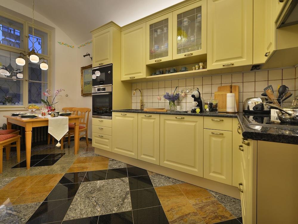 Luxurious Apartment Near River in Cezch Republic