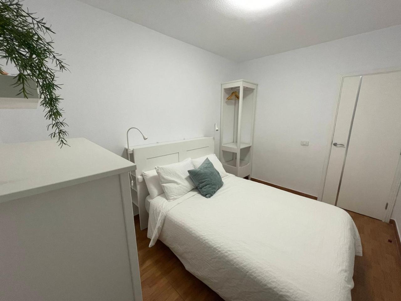 Beautiful 3 Bd. Apartment in la Laguna City Centre