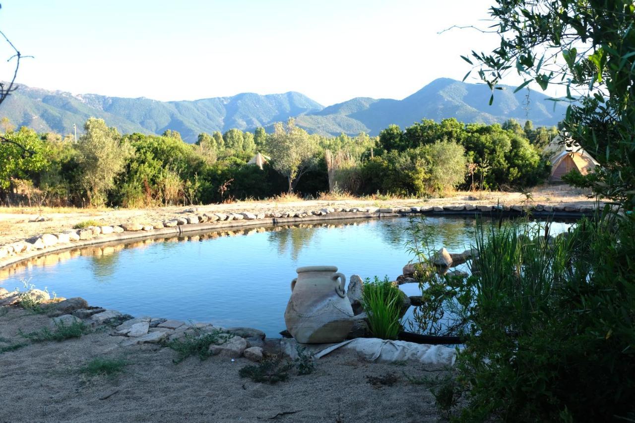 Ecovita Agri-Glamping