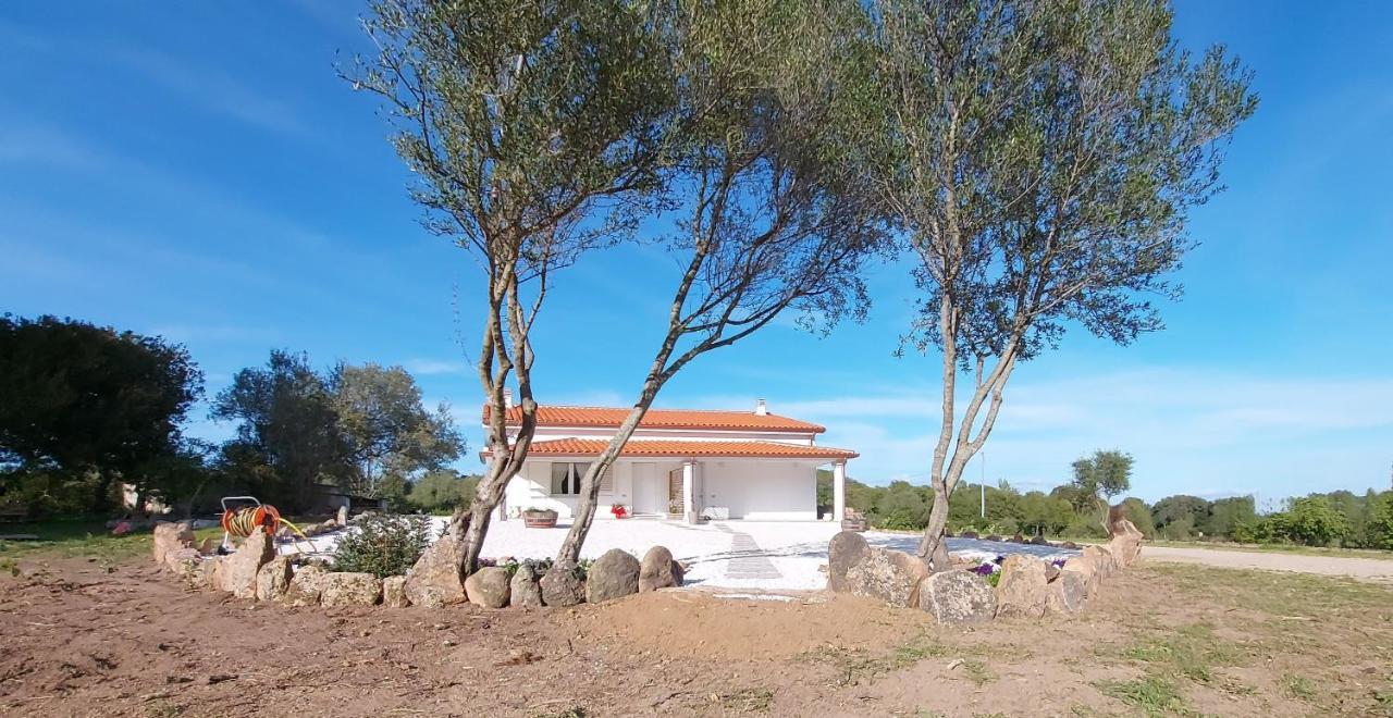 Casa Vacanze Olbia - Alebea -