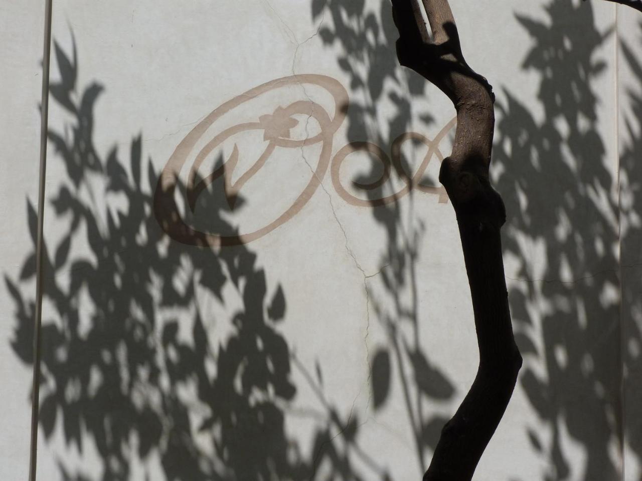 Les Orangers D'alilia 1