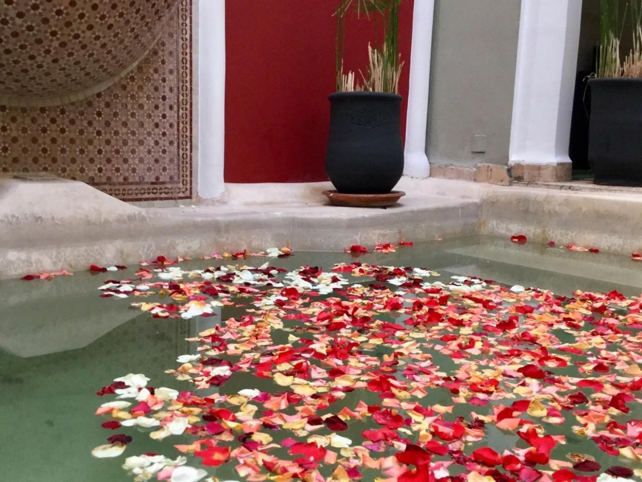 Riad Loudaya (Adults only) 2