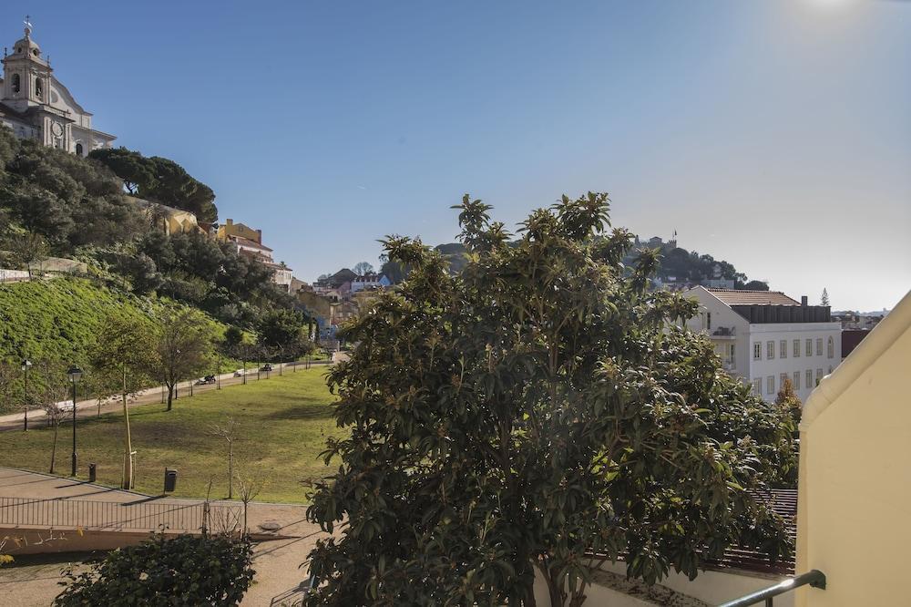 A Pearl in Graceland 2