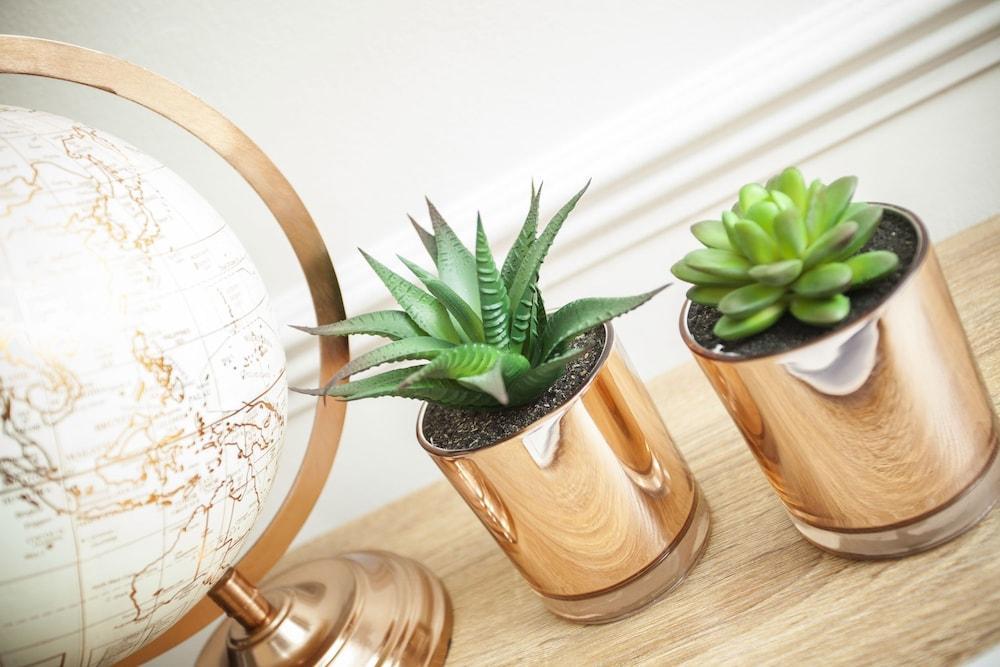 Victoria Magical Atmosphere with Patios