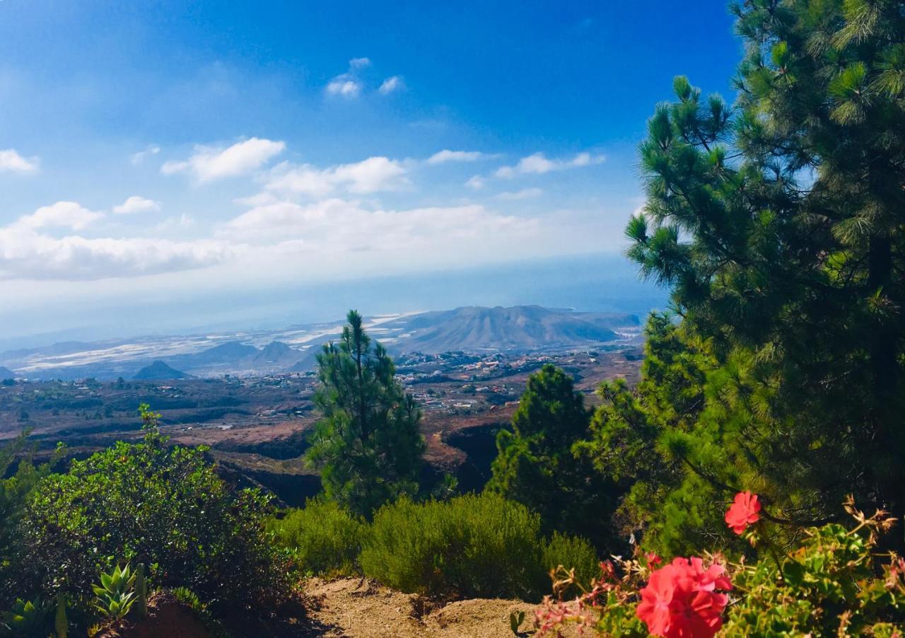 Tenerife Nature Retreat 2