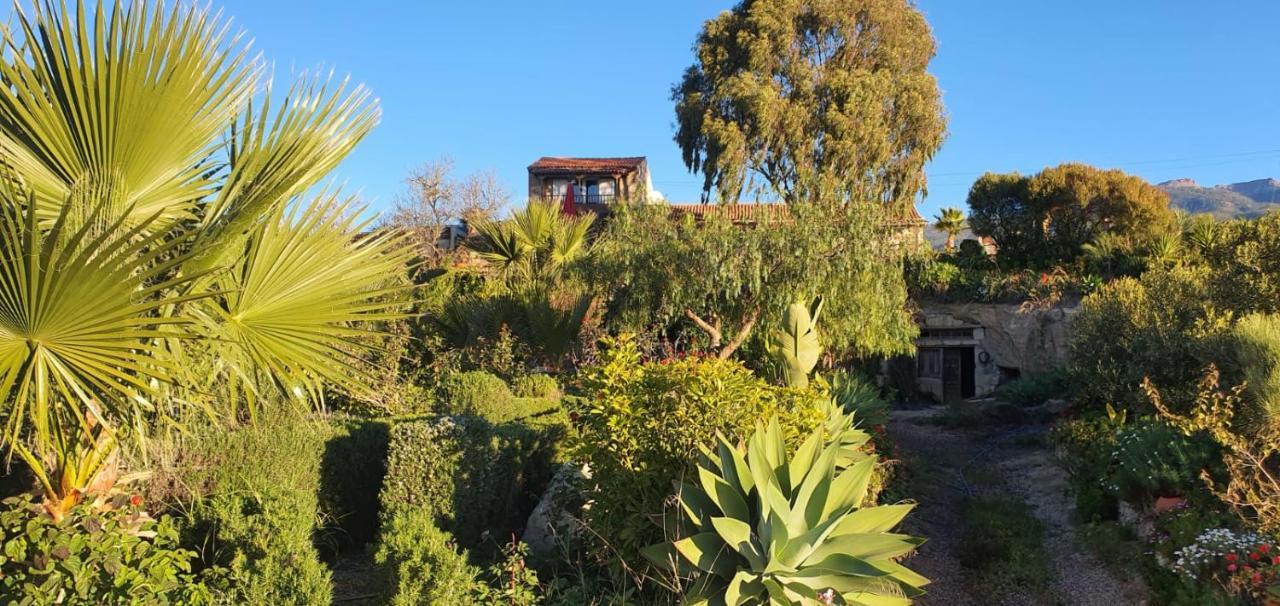 Tenerife Nature Retreat 1